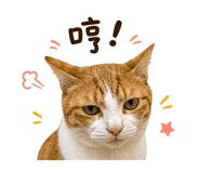 845691270