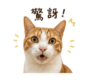 845691274