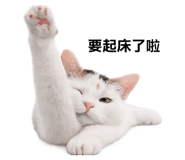 845691423