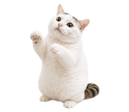 845691444