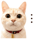 845691487