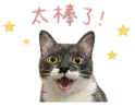 845691875