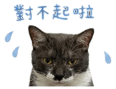 845691879