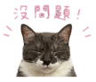 845691883