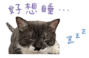 845691886
