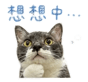 845691887