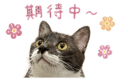845691889