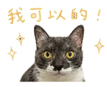 845691892