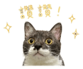 845691893