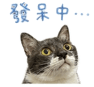 845691894