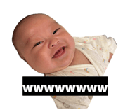 845693379