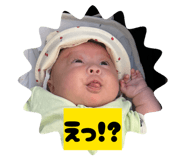 845693381