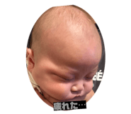 845693382