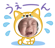 845693443