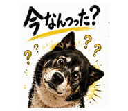 845693645