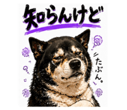 845693648