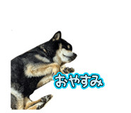 845693673