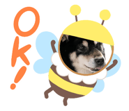 845693678