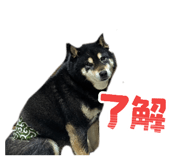 845693679