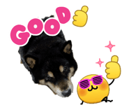 845693680