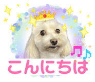 845693694