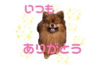 845693696