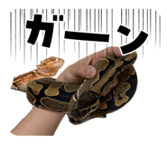 845693708