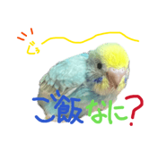845693717