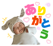 845694067
