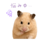 845694202