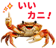 845694226