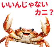 845694230