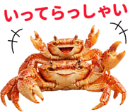 845694234