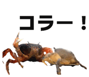 845694280