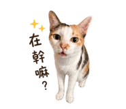 845694374