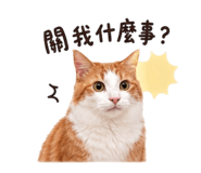 845694381