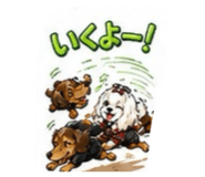 845694944