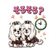 845694969