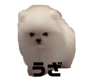 845700545