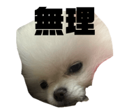 845700551