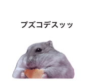 845701598