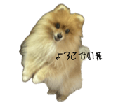 845702370
