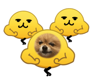 845702376