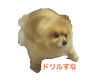 845702379