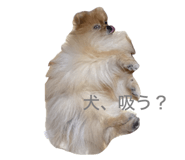 845702382