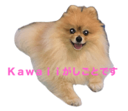 845702388