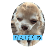 845702826