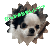 845702827