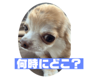 845702855