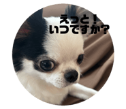 845702860